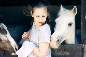 רכיבה על סוסים לילדים עודף משקל